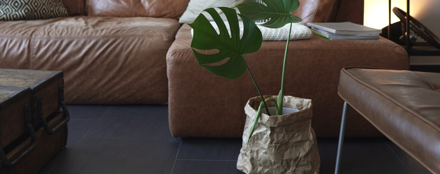 DIY Übertopf aus Kraftpapier mit einer Monstera-Pflanze