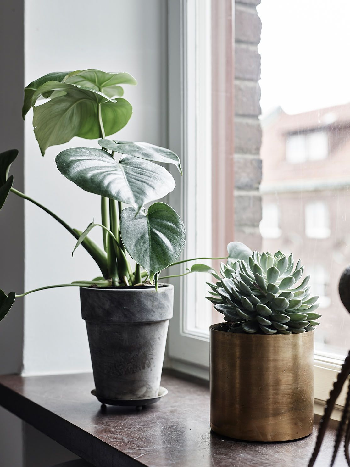 Inspiration Pflanzen 02