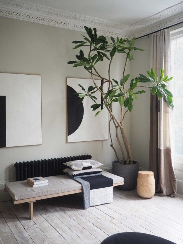 Inspiration Pflanzen 03