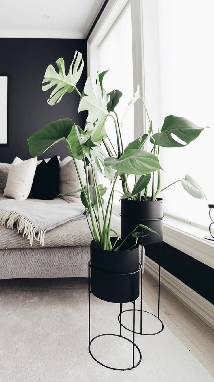 Inspiration Pflanzen 04