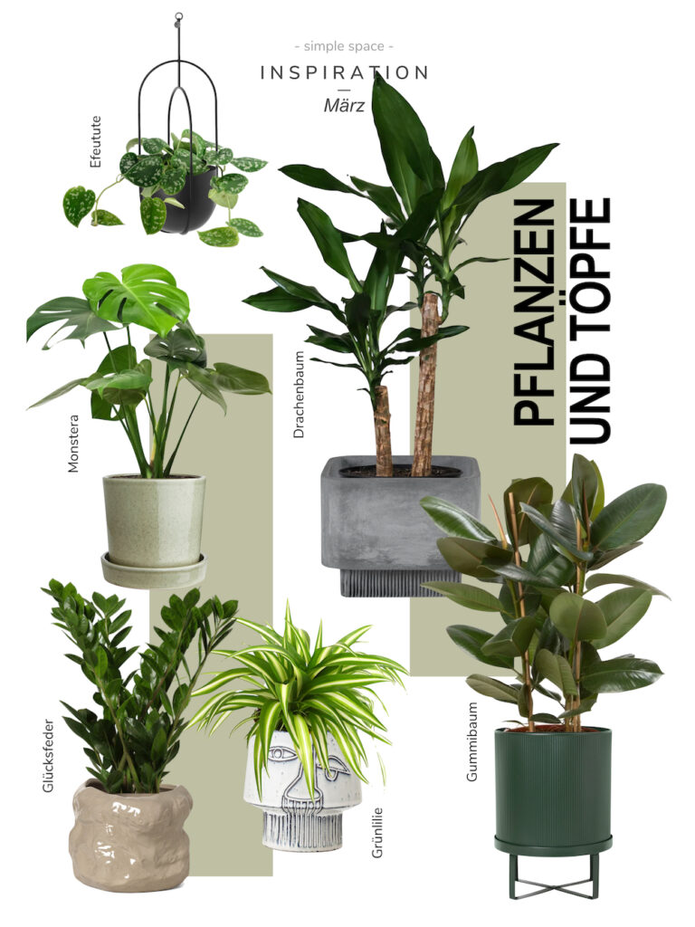 Moodboard Pflanzen
