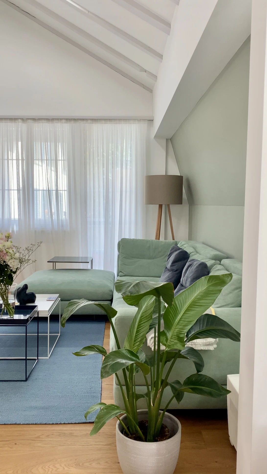 Pflanze farbenfroh Wohnzimmer modern