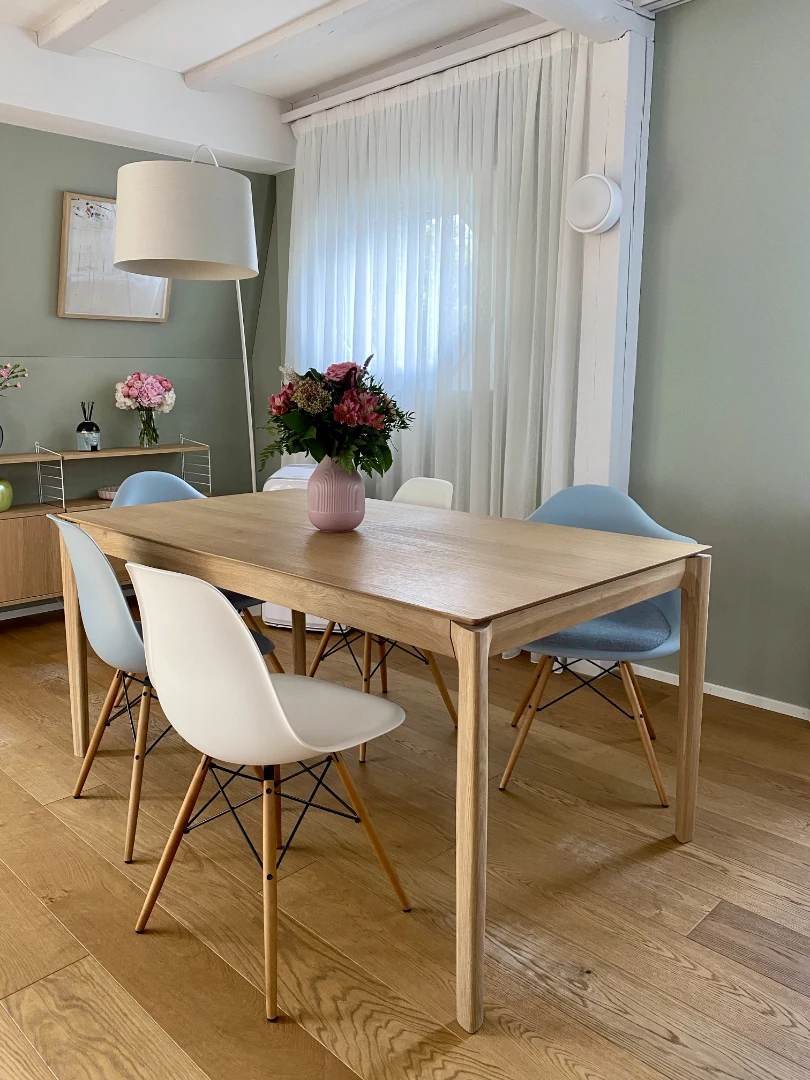 Esszimmer Farbkonzept lebendig